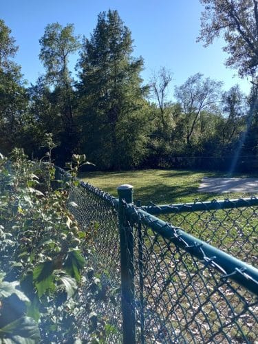 Wayside Park Unleashed Dog Park (membership only)