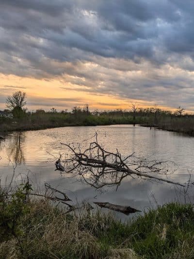 Rabbit Run Park - St Peters, MO