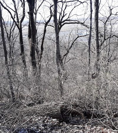 Shady Springs Park - St Peters, MO