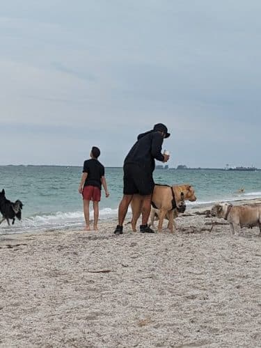 Fort De Soto Dog Park / Beach