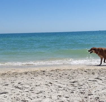 Fort De Soto Dog Park / Beach