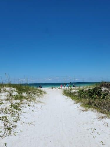 Fort De Soto Dog Park / Beach