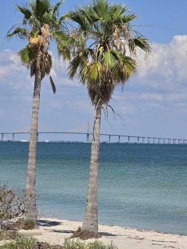 Fort De Soto Dog Park / Beach