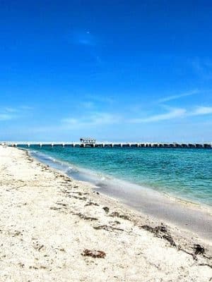 Fort De Soto Dog Park / Beach - St. Petersburg, FL