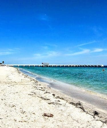 Fort De Soto Dog Park / Beach