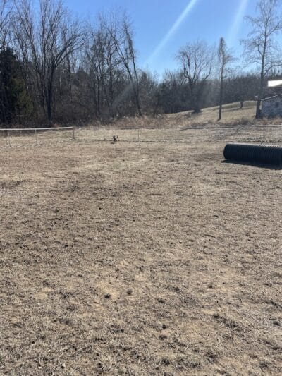 St. Robert Dog Park - St Robert, MO
