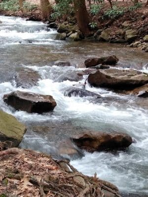 Linn Run State Park