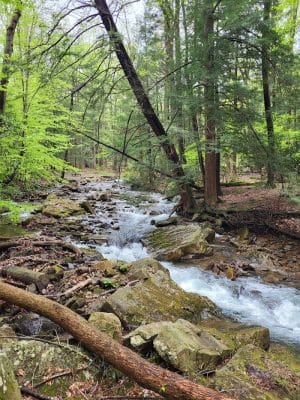 Linn Run State Park