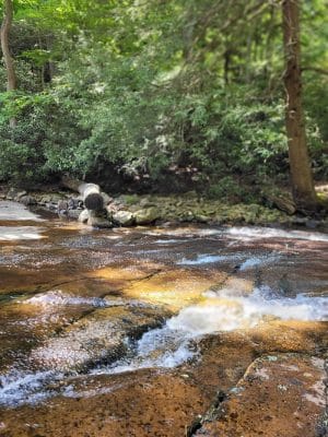 Linn Run State Park