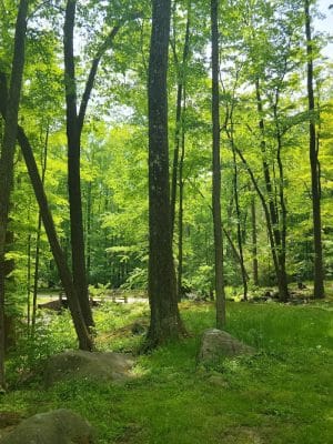 Linn Run State Park