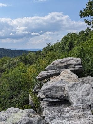 Linn Run State Park