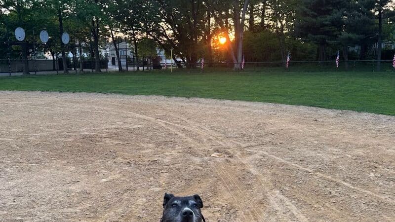 Northerleigh Park - Staten Island, NY