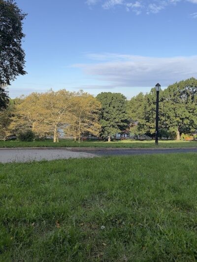 Silver Lake Dog Run - Staten Island, NY