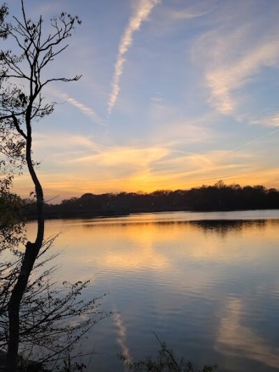 Silver Lake Dog Run - Staten Island, NY