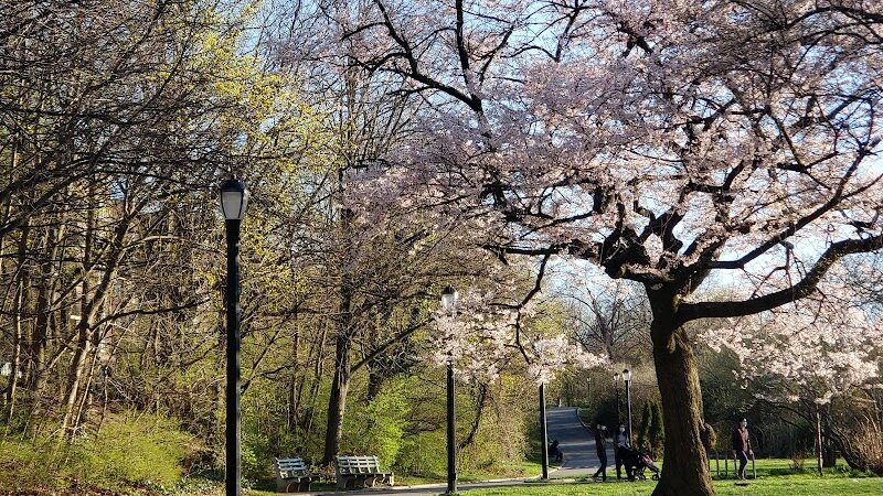 Silver Lake Dog Run - Staten Island, NY