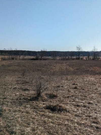 Speckmann Dog Park - Stevens Point, WI