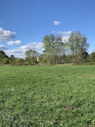 Stevens Point Dog Park - Stevens Point, WI