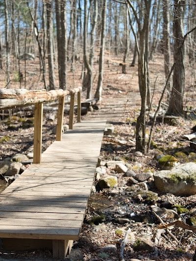Paffard Woods - Stonington, CT