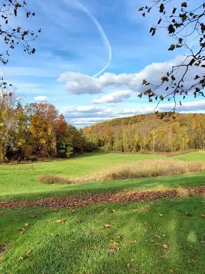 Beagle Bog - Stormville, NY