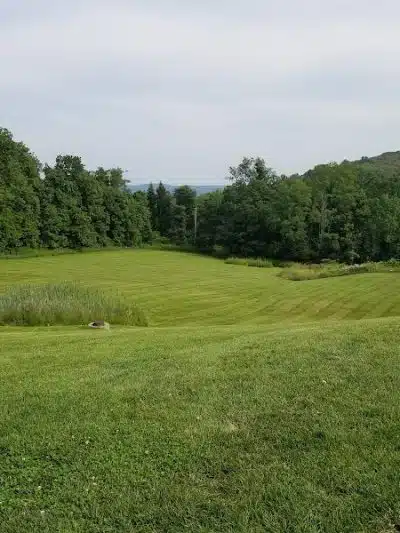 Beagle Bog - Stormville, NY