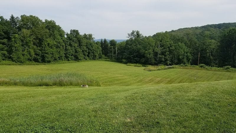 Beagle Bog - Stormville, NY
