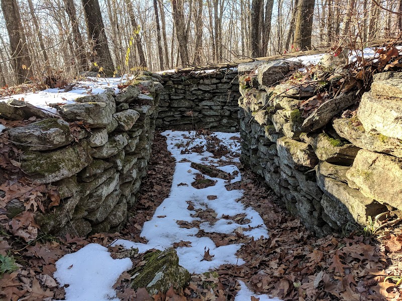Dunhamtown Forest and Dunham Woods Preserve - Storrs, CT