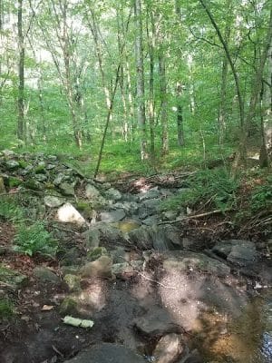Dunhamtown Forest and Dunham Woods Preserve