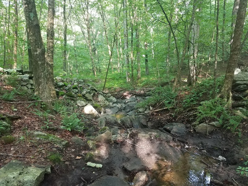 Dunhamtown Forest and Dunham Woods Preserve - Storrs, CT