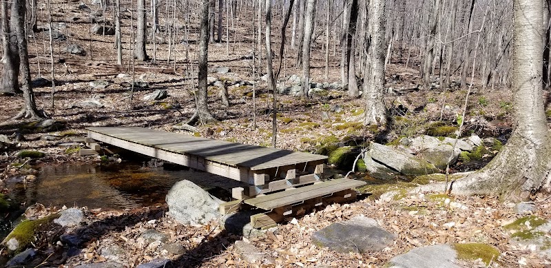 Dunhamtown Forest and Dunham Woods Preserve - Storrs, CT