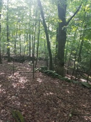 Dunhamtown Forest and Dunham Woods Preserve