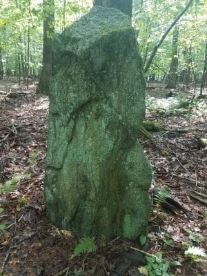 Dunhamtown Forest and Dunham Woods Preserve