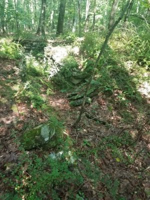 Dunhamtown Forest and Dunham Woods Preserve