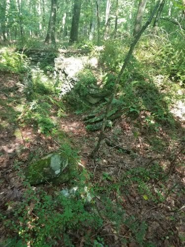 Dunhamtown Forest and Dunham Woods Preserve