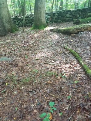 Dunhamtown Forest and Dunham Woods Preserve