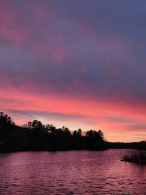 Eagleville Preserve
