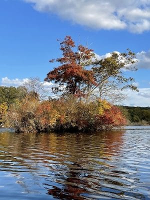 Eagleville Preserve