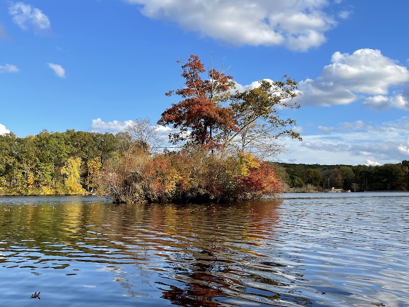 Eagleville Preserve - Storrs, CT