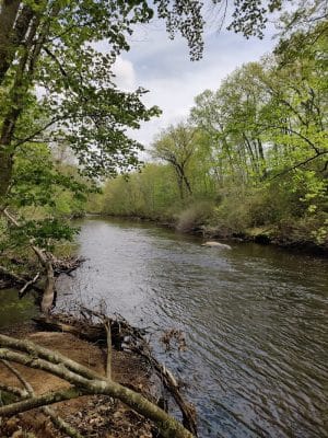 Eagleville Preserve