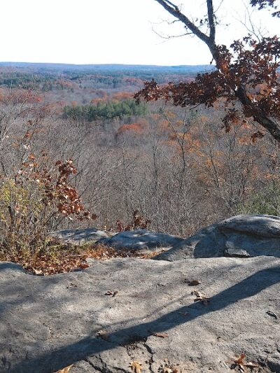 Fifty-Foot Cliff Preserve Trailhead - Storrs, CT