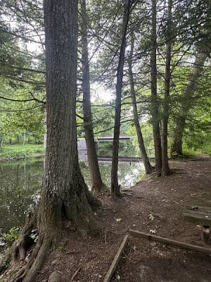 Merrow Meadow Park