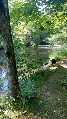 Merrow Meadow Park