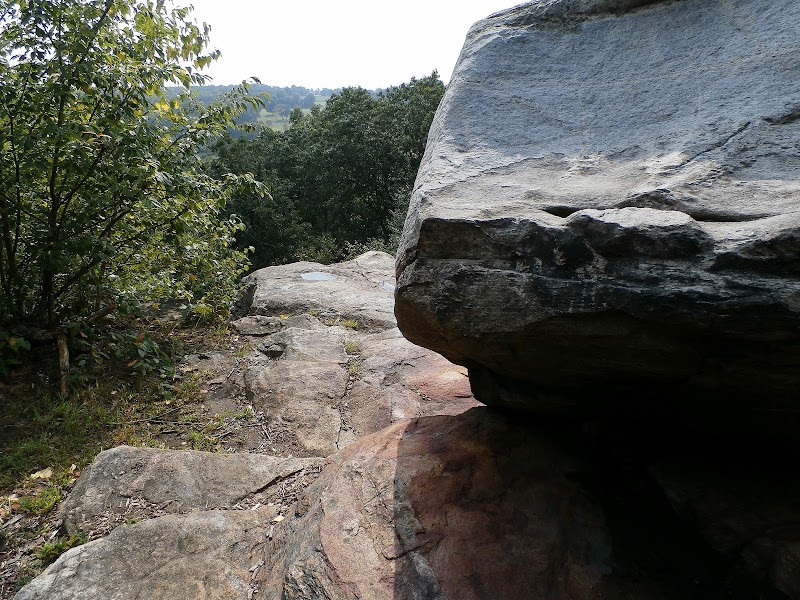 Schoolhouse Brook Park - Storrs, CT