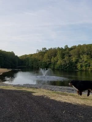 Schoolhouse Brook Park