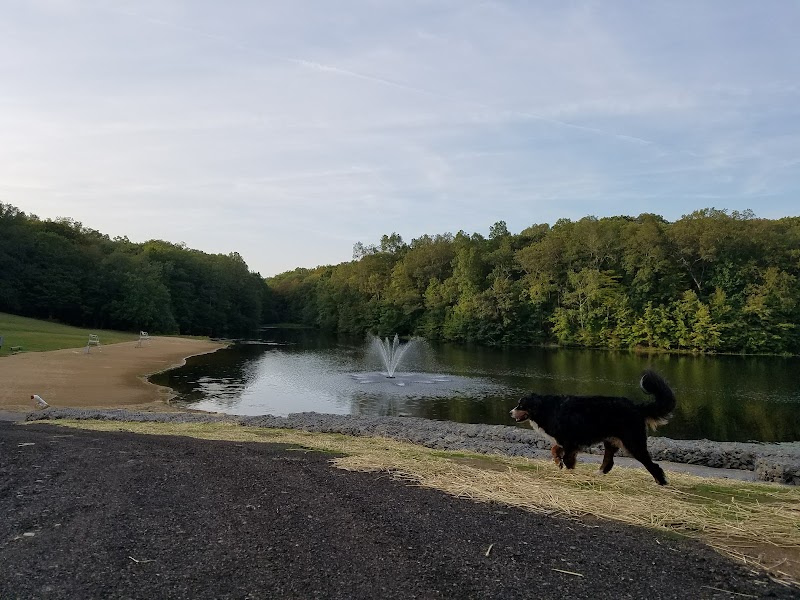 Schoolhouse Brook Park - Storrs, CT