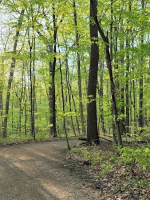 Schoolhouse Brook Park