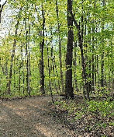 Schoolhouse Brook Park