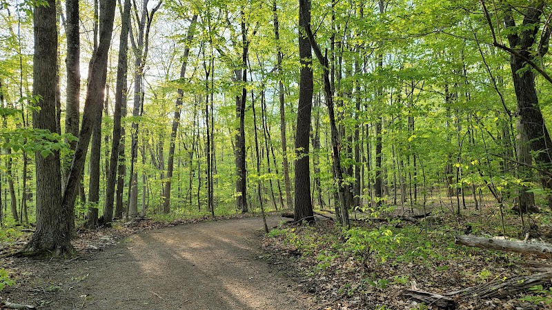Schoolhouse Brook Park - Storrs, CT