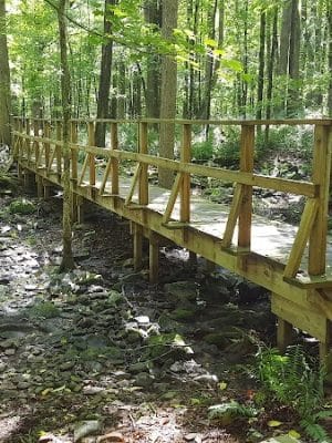 Whetten Woods Trail x Dog Lane - Storrs, CT