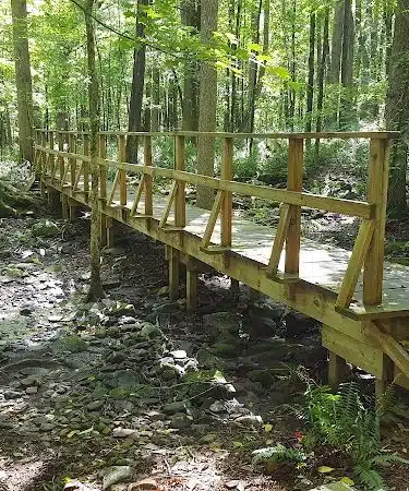 Whetten Woods Trail x Dog Lane