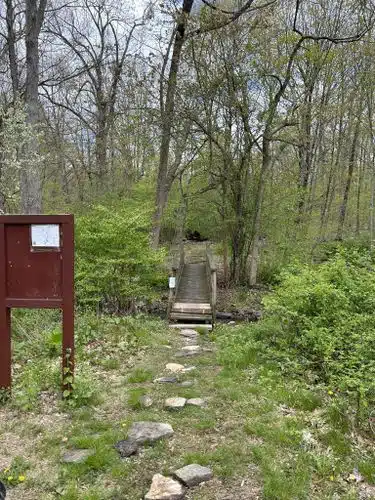 Whetten Woods Trail x Dog Lane